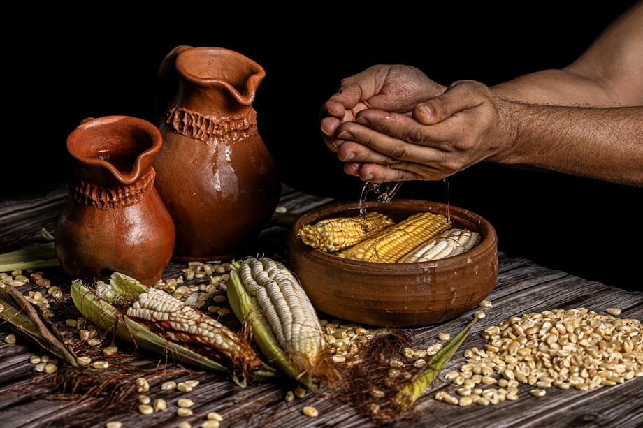 Cilcos de vida